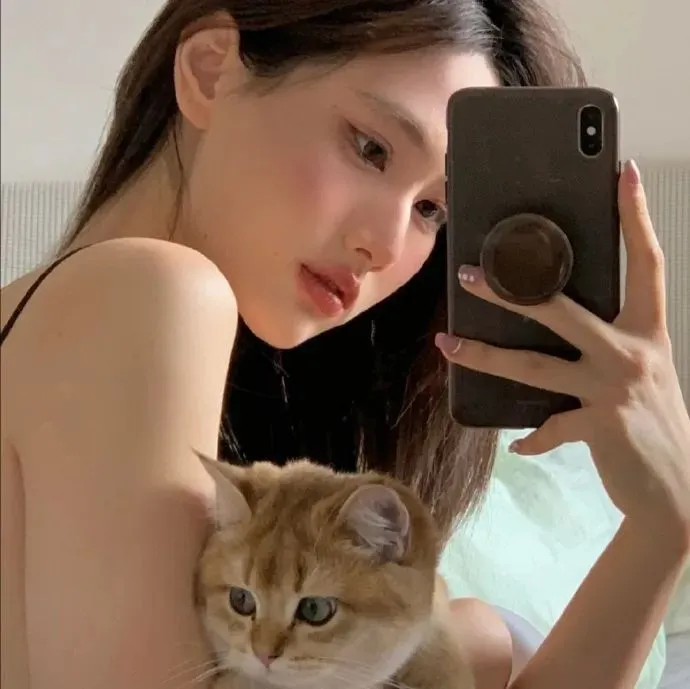 诈骗题材爽剧《欺诈猎人》全集在线：专门欺骗诈骗犯的黑鹭，极限智商博弈